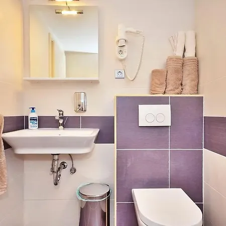 Luxury Apartment